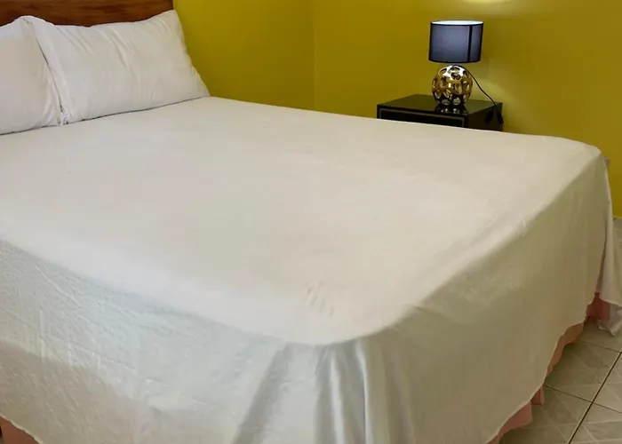Three Palm Guest house Montego Bay