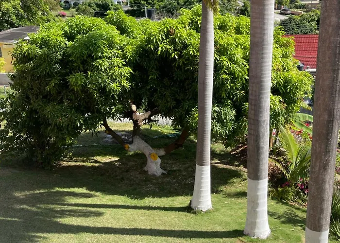 Three Palm
