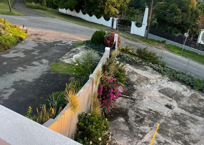 Guest house Three Palm Montego Bay